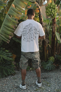 Monstera 01